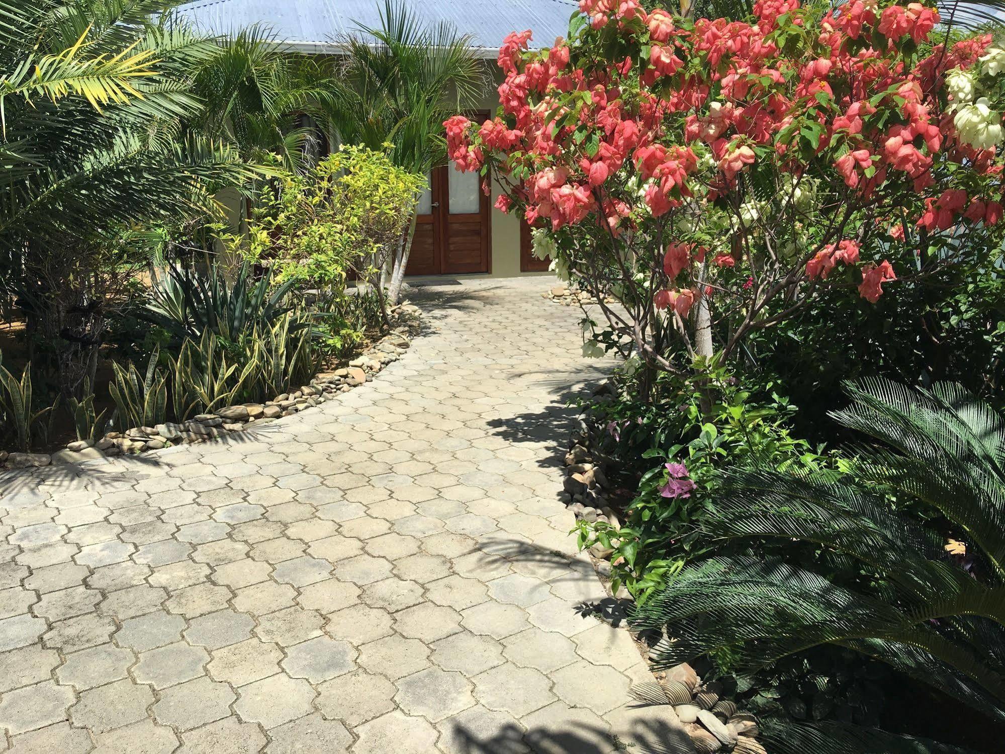 Soma Surf Resort 톨라 외부 사진